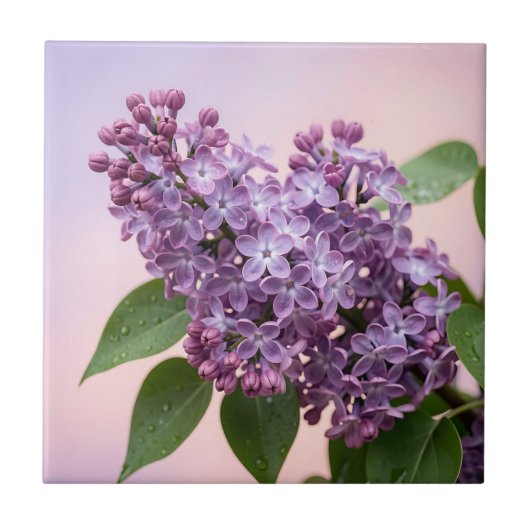 フレッシュパープルライラックの花 春の花  タイル (正面)