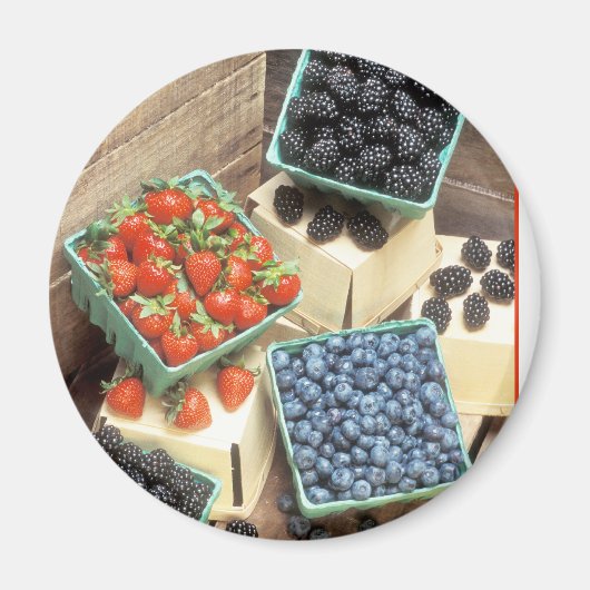 フレッシュピックストロベリーブルーベリーブラックベリー マグネット (正面)