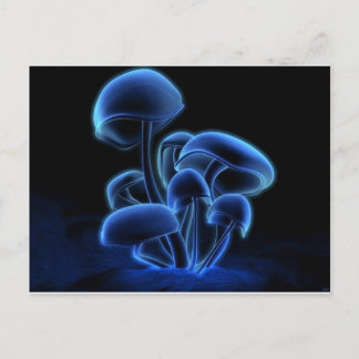 フレッシュファンキー，ファッショナブル，レトロクール, ポストカード