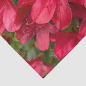 フレッシュフローラティッシュペーパー 薄葉紙 (詳細)