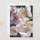 フレッシュフローラ&シャルボードブライダルシャワー招待 招待状 (裏面)