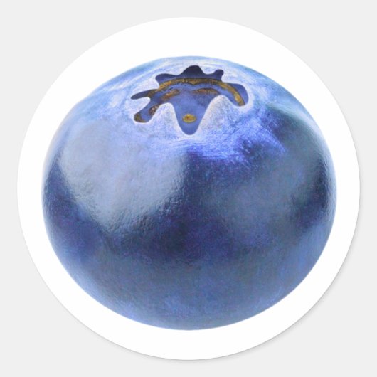 フレッシュブルーベリー1個 ラウンドシール (正面)