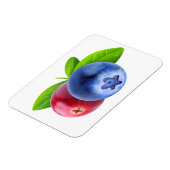 フレッシュベリー マグネット (左側)