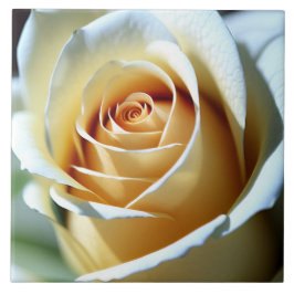 フレッシュホワイトローズ タイル