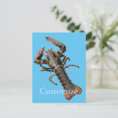 フレッシュメインロブスターサンダー_コーブ ポストカード (スタンド正面)