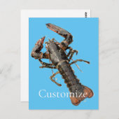 フレッシュメインロブスターサンダー_コーブ ポストカード (正面/裏面)