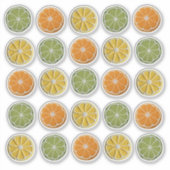 フレッシュモダンミニマルクロシェ柑橘類スライス周り シール (正面)
