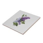 フレッシュライラックオングレーフランスのカントリーホームデコール タイル (側面)