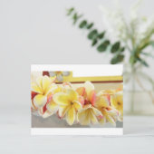 フレッシュレイ# 7ポストカード ポストカード (スタンド正面)