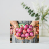 フレッシュレッドオニオンズホールド農家 シーズンポストカード (スタンド正面)