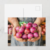 フレッシュレッドオニオンズホールド農家 シーズンポストカード (正面/裏面)