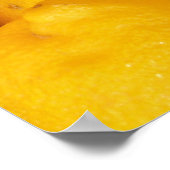 フレッシュレモン ポスター (角)