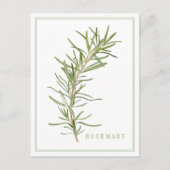 フレッシュローズマリー葉書 ポストカード (正面)