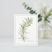 フレッシュローズマリー葉書 ポストカード (スタンド正面)