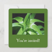 フレッシュ春グリーンリ葉ーの卒業 招待状 (正面)