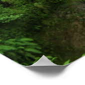 フレッシュ緑豊かな自然の滝 ポスター (角)