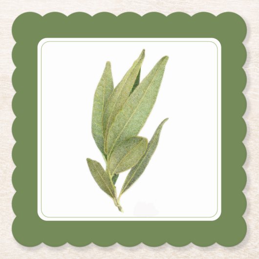 フレッシュ葉ベイファンシースクエアコースター – 文字グリーン ペーパーコースター (正面)