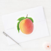フレッシュ・アプリコット ラウンドシール (封筒)