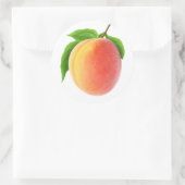 フレッシュ・アプリコット ラウンドシール (バッグ)