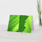 「フレッシュ・スタート」新人求人グリーンリーフカード カード (正面)