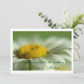 フレッシュ デイジー 招待状 (スタンド正面)