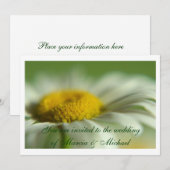 フレッシュ デイジー 招待状 (正面/裏面)