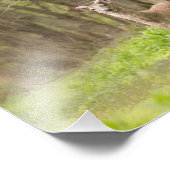 フレッシュ・ベルベットでバック フォトプリント (角)