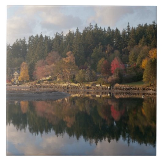 フレッチャー湾 タイル (正面)