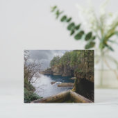 フレッチャー・キャップ オリンピック・ナショナル・パーク ポストカード (スタンド正面)