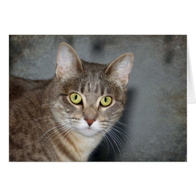 フレッド (正面横)