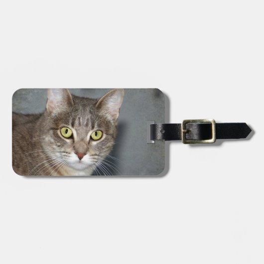 フレッド ラゲッジタグ (正面横)