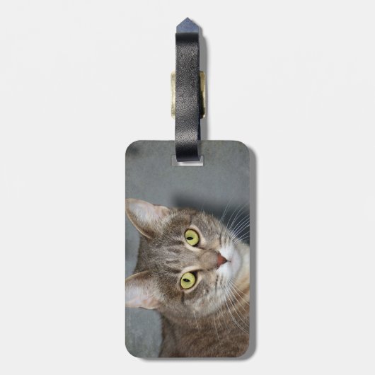 フレッド ラゲッジタグ (裏面縦)