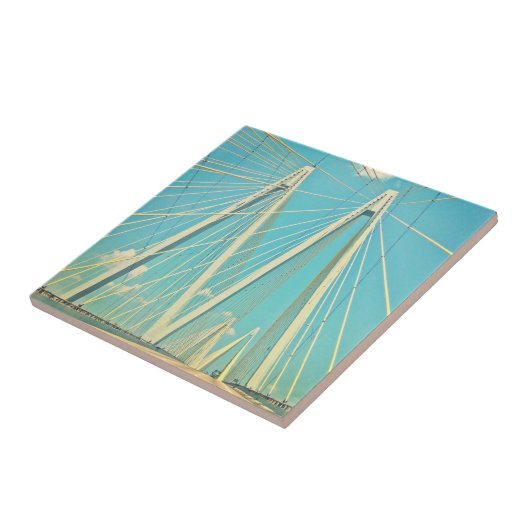 フレッドHartman橋 タイル (側面)