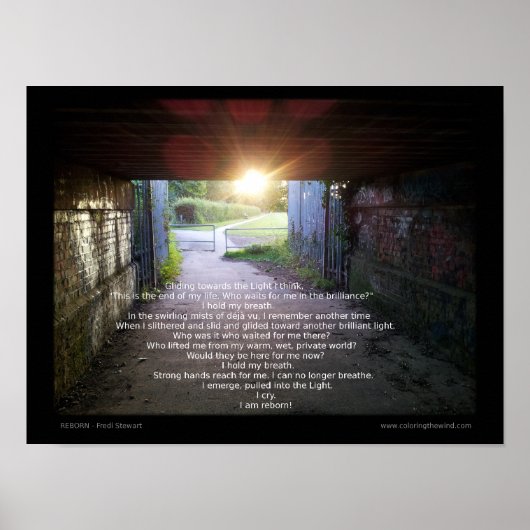 フレディ・スチュワートのリボーン ポスター (正面)