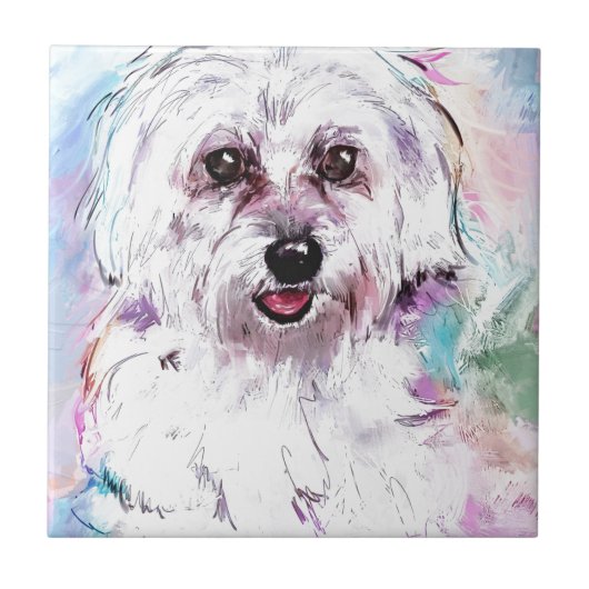 フレディ タイル (正面)