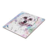 フレディ タイル (側面)