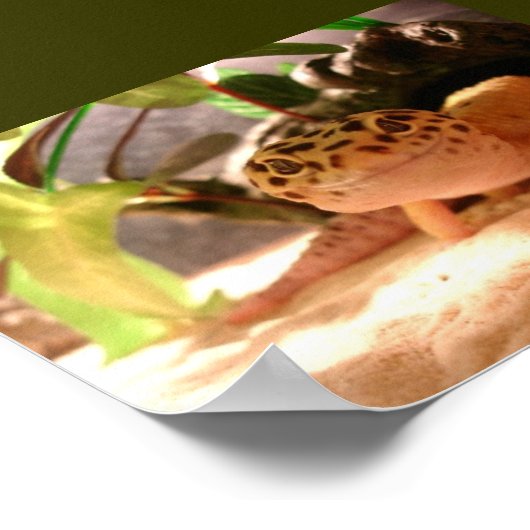 フレディ ポスター (角)