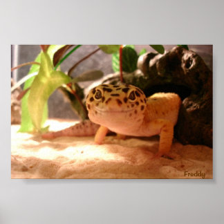 フレディ ポスター