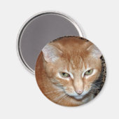 フレディ・マゲネ マグネット (正面/裏面)