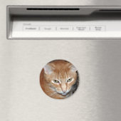 フレディ・マゲネ マグネット (インサイチュ (食洗機))