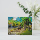 フレデリカステッドヴァージン諸島 ポストカード (スタンド正面)