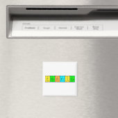 フレデリコ周期表名磁石 マグネット (インサイチュ (食洗機))