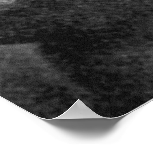 フレデリック・ショパンの唯一の知られている写真 ポスター (角)