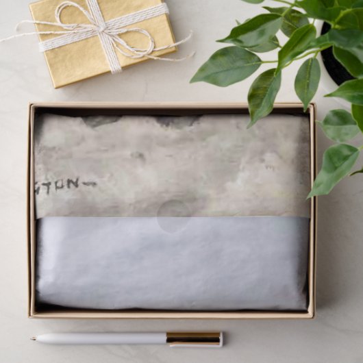 フレデリック・レミントンによるテキサス州のメキシコのバッカロ 薄葉紙 (ギフト)