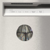 フレネルレンズ マグネット (インサイチュ (食洗機))