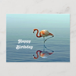 フレミンゴピンクのリフレクション野生動物写真の誕生日 ポストカード