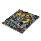 フレモントのコットンウッドの葉が氾濫原に タイル (側面)