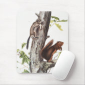 フレモントリスと安っぽいリスイラストレーション マウスパッド (マウス)