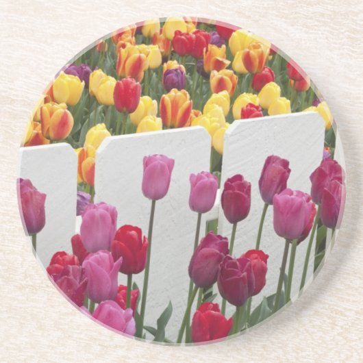 フレモント至パレード コースター (正面)