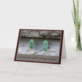 フレンズバタフライコクーン カード